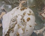 Foto del paso 5 de la receta: Pancitos Saborizados