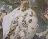 Foto del paso 5 de la receta: Pancitos Saborizados