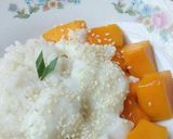 Foto langkah ke 8 dari resep Manggo Sticky Rice.