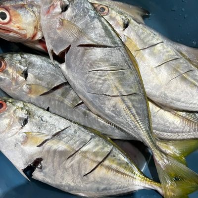 Langkah 1