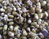 મગ ચાટ (Morning Moong Chat in Gujarati) રેસીપી સ્ટેપ1ફોટો