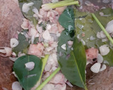 Foto langkah ke 3 dari resep Garang Asem praktis no bungkus.