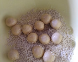 Foto langkah ke 4 dari resep Onde-Onde Ketawa Anti Gagal.