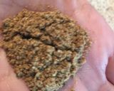 Foto del paso 4 de la receta: Garam Masala (India)