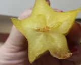 Foto del paso 4 de la receta: Salteado de hongos y escarola