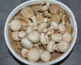Une image de l'étape 1 de Filet mignon de porc sauce crème et champignons.