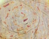 A picture of step 5 of Paratha’s.