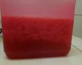 Foto langkah ke 4 dari resep Alumer (Agar-agar lumut merah).