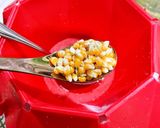 Gambar langkah 1 resipi 👩🍳Popcorn MW- Microwave🍿.