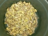 Tumis Sayur Pepaya Muda