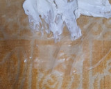 Foto del paso 2 de la receta: Rollo vietnamitas / spring roll