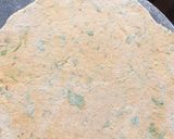 मेथीचे पराठे रेसिपी (methiche parathe recipe in marathi) रेसिपी स्टेप 3 फोटो 