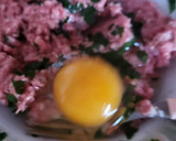 Foto del paso 5 de la receta: Albóndigas mar y montaña