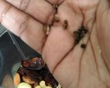 बनाना ड्राई फ्रूट लस्सी रेसिपी चरण 2 फोटो