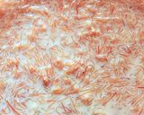 A picture of step 6 of Seviya kheer#Anniversary.