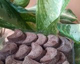Foto langkah ke 7 dari resep Kue putri salju coklat.