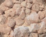 Foto del passaggio 3 della ricetta Pollo Agrodolce