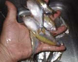 Foto del paso 2 de la receta: Mojarras fritas