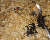 Foto langkah ke 1 dari resep PAMPIS AYAM KEMANGI/SUWIR AYAM SIMPLE.