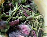 Foto langkah ke 1 dari resep Sayur bening Bayam Merah.