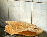 Hình bước làm 4 của món Mì Quảng Cá Lóc