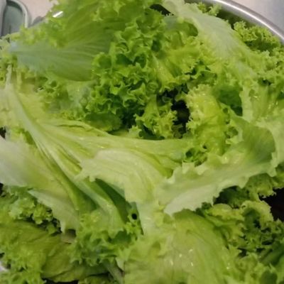Langkah 5