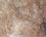 A picture of step 7 of Panjabi sweet gujiya.