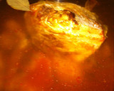 Foto del paso 8 de la receta: Couscous de lu