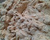 Foto del paso 6 de la receta: Prepizzas con harina integral