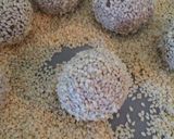 Foto langkah ke 8 dari resep Onde Onde Ketan Hitam.