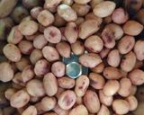 A picture of step 1 of Sabudana khichidi.