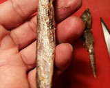 Foto del paso 20 de la receta: Anchoas en salazón y con hierbas aromáticas, con mi método de treinta días de curación