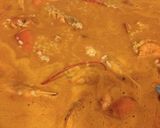 Foto del paso 9 de la receta Arroz caldoso con bogavante