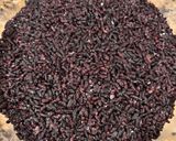 A picture of step 3 of Black Glutinous Rice Wine for Tết Đoan Ngọ.