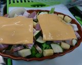 豪華焗烤總匯(健康快速版)的食譜步驟5照片