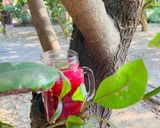 A picture of step 2 of ABCCL healthy juice 🥤.