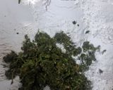 A picture of step 2 of Chakri.