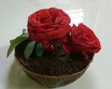 A picture of step 15 of Edible chocolate flower pot dessert.
