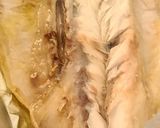 Foto del paso 5 de la receta: Lubina airfrayer rápida y sencilla