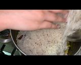 A picture of step 8 of Zaffrani Mutton Pulao.