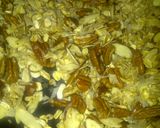A picture of step 4 of Mayan Chocolate Snack Time.