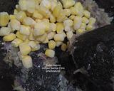 Foto langkah ke 1 dari resep Dadar Jagung dengan Sambel Petis.
