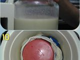 Yogurt Handmade
