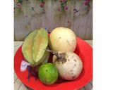Foto langkah ke 1 dari resep Diet Juice Star Fruit Pear Lime Jicama.