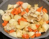 簡單煮清淡馬鈴薯燉肉的食譜步驟5照片