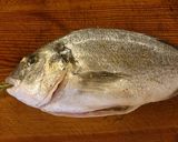 Sókéregben sült hal (orada) recept fázis 1 fotója