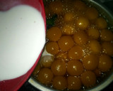 Foto langkah ke 5 dari resep Kolak Biji Salak /Jenang Grendul / Bubur Candil Labu Kuning.