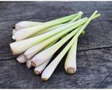 Hình bước làm 2 của món Cà ri không có bột cà ri