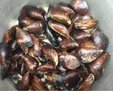 Foto del paso 1 de la receta: Pulmay en malla 🇨🇱👌🏻