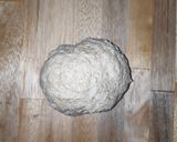 Foto langkah ke 2 dari resep Roti Gandum (Whole Wheat Milk Bread).